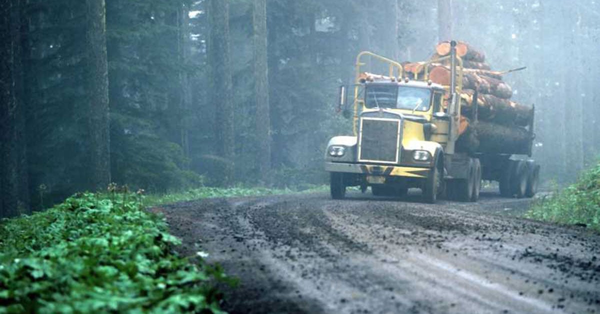 New Grant Supports BC Forestry Workers Affected By Tariffs