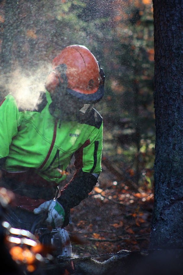 New Grant Supports BC Forestry Workers Affected By Tariffs