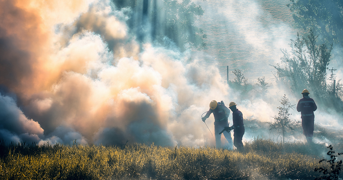 BC’s Wildfire Future Needs Forest Professionals
