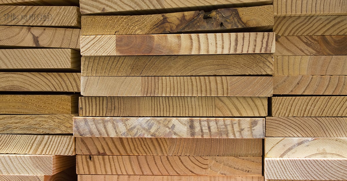Canadian Wood Council Advances Wood Innovation and Education