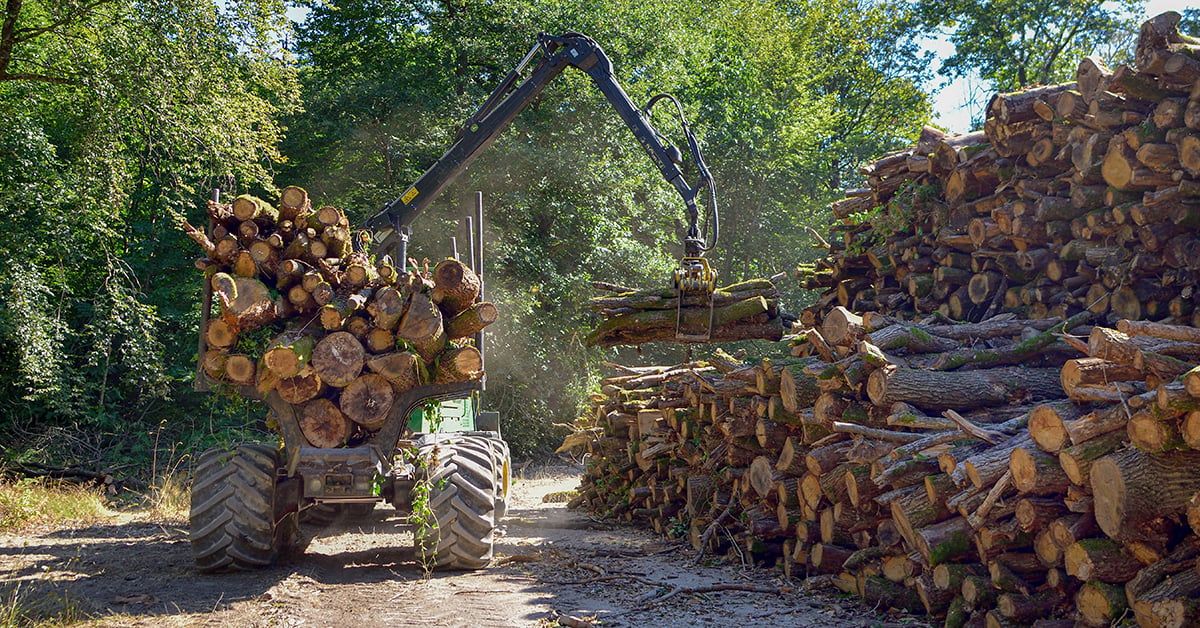 Forestry Is a Solution: Voice Your Support