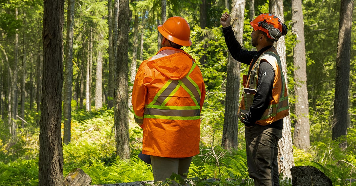 The Silviculture Innovation Program and the Forest Enhancement Society of BC Launch New Extension Specialist Role