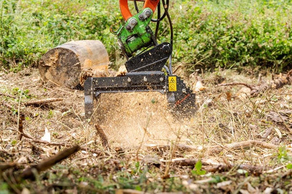 Prinoth Introduces New Grizzly M300e Forestry Mulcher