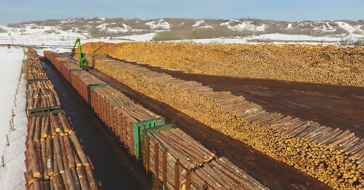 Cameron River Logistics Finds A Log Handler It Can Rely On