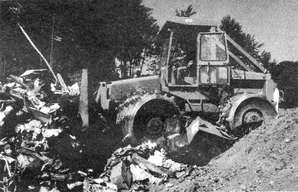 Survival 1982