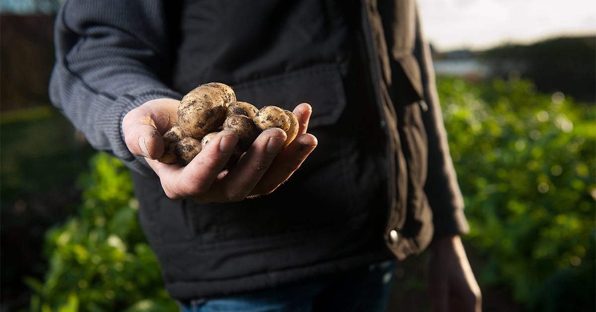 Skilled Workers Needed In Manitoba’s Agriculture Sector