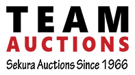 Team Auctions